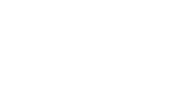 MINOR Poledance und Aerial Art Dresden