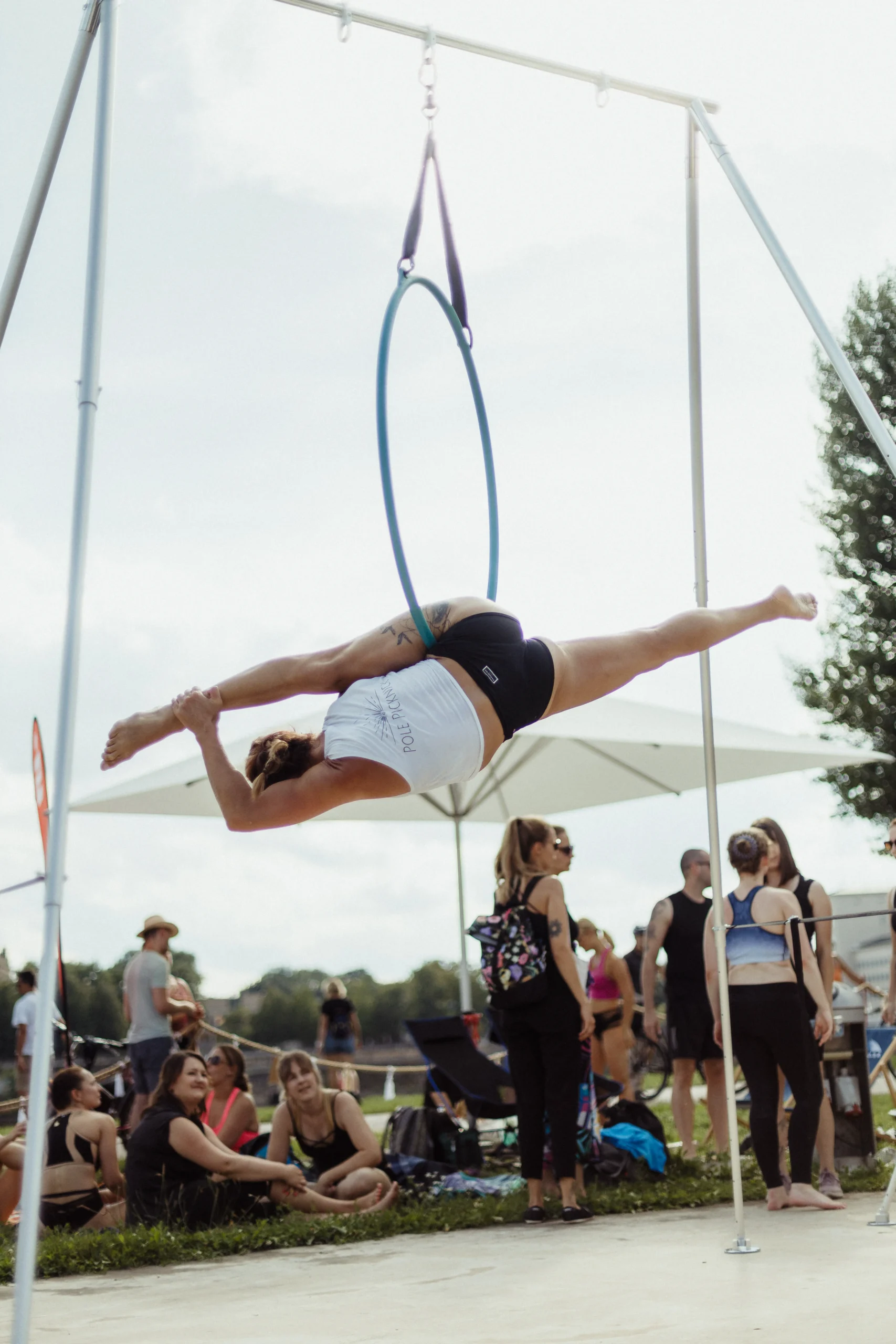 Pole Picknick ZLK5480 scaled